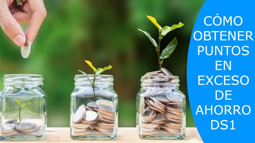 Exceso de ahorro DS1